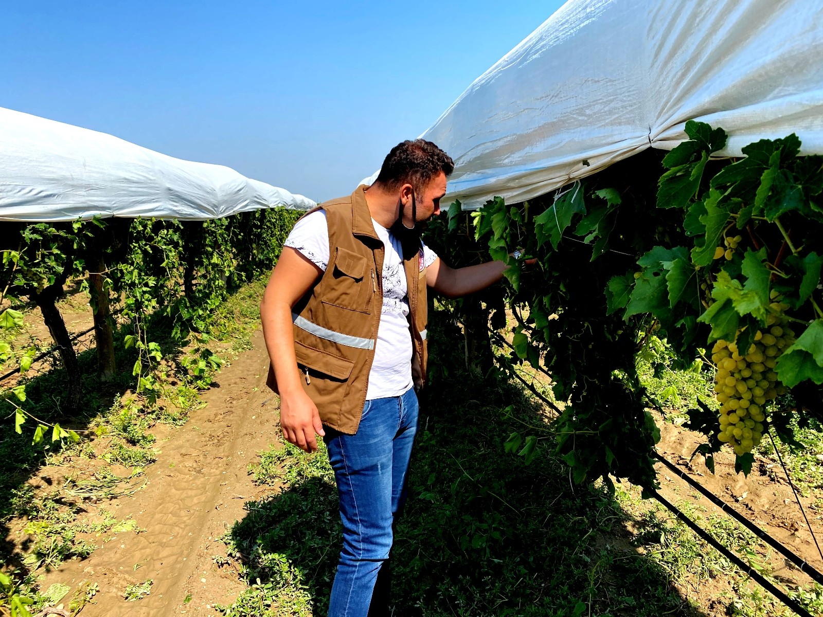 Dolu ve fırtına 11 bin dekarlık alana zarar verdi