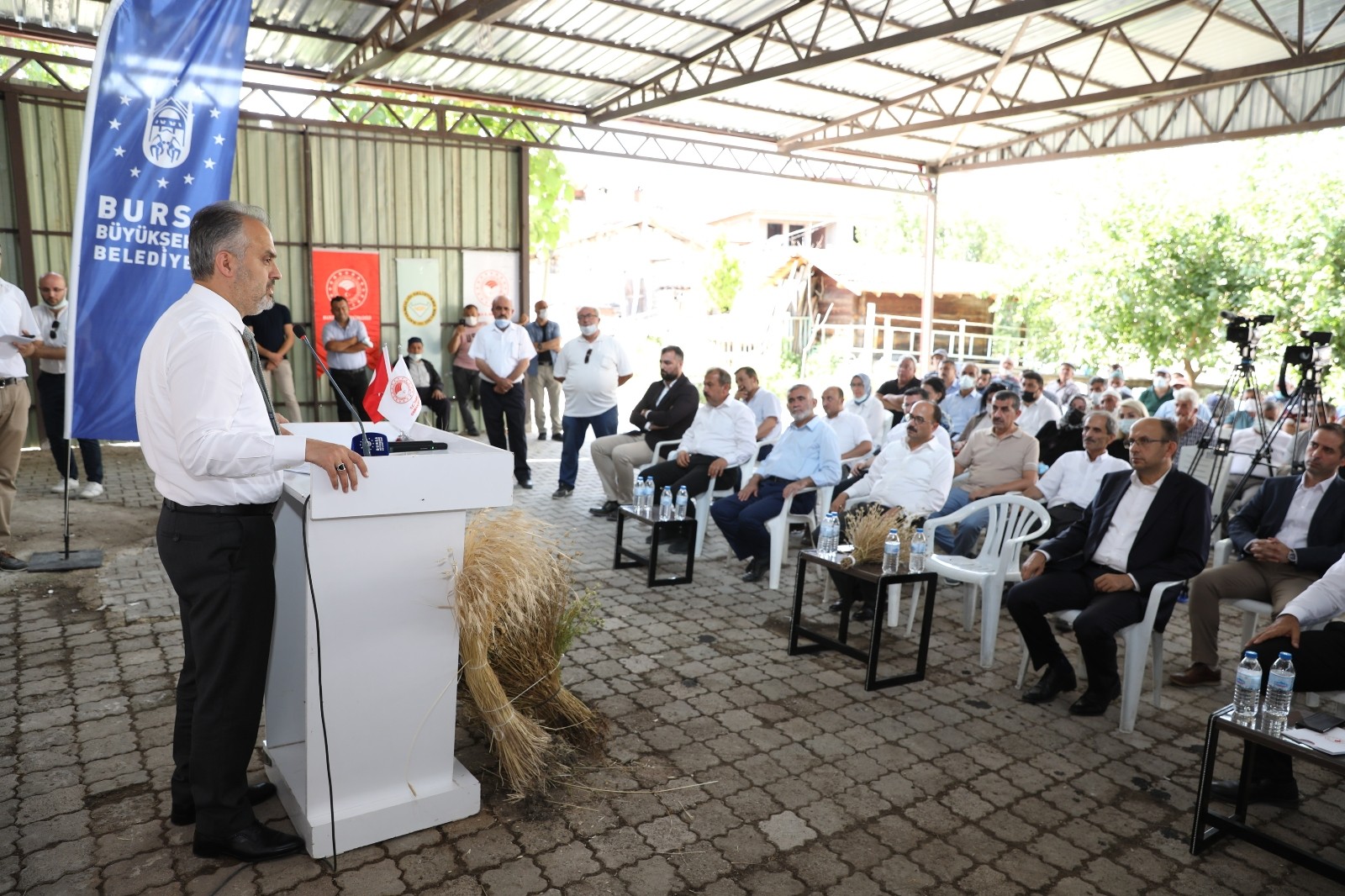 Siyez buğdayı ve çörek otunda hasat zamanı