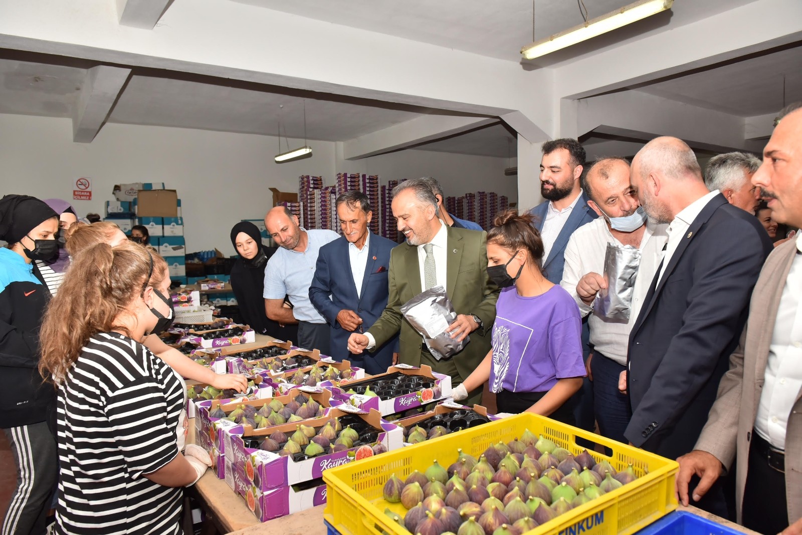 Bursa’nın siyah incisinin hasadına başlandı
