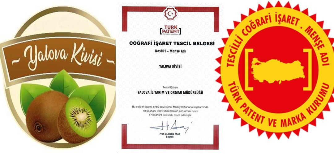 Yalova kivisi coğrafi işaretle tescillendi