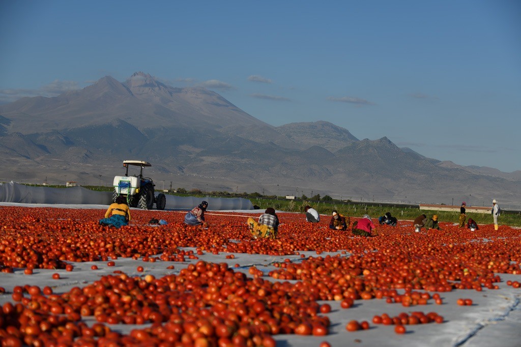 Erciyes’in etekleri kırmızıya boyandı