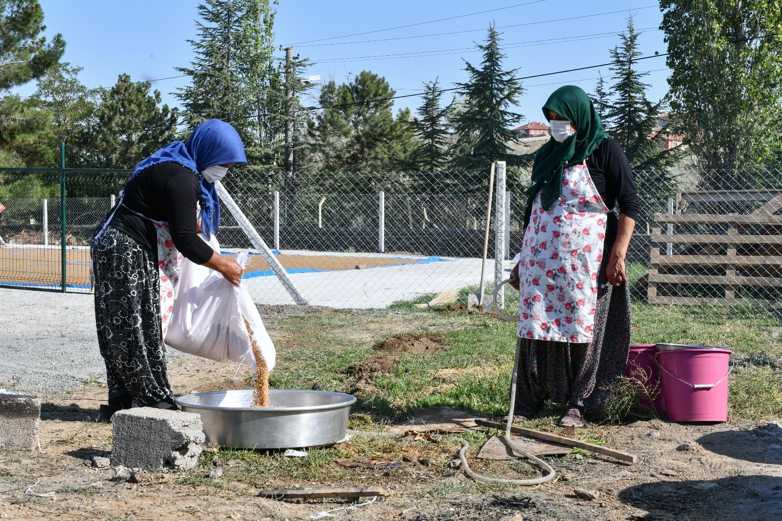 Başkentte ilk hasadın buğdayları kazanlarda kaynatılmaya başladı