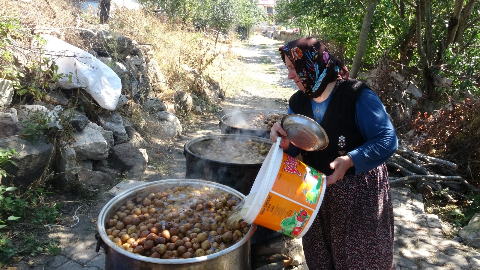Dalından sofraya armudun pekmeze yolculuğu