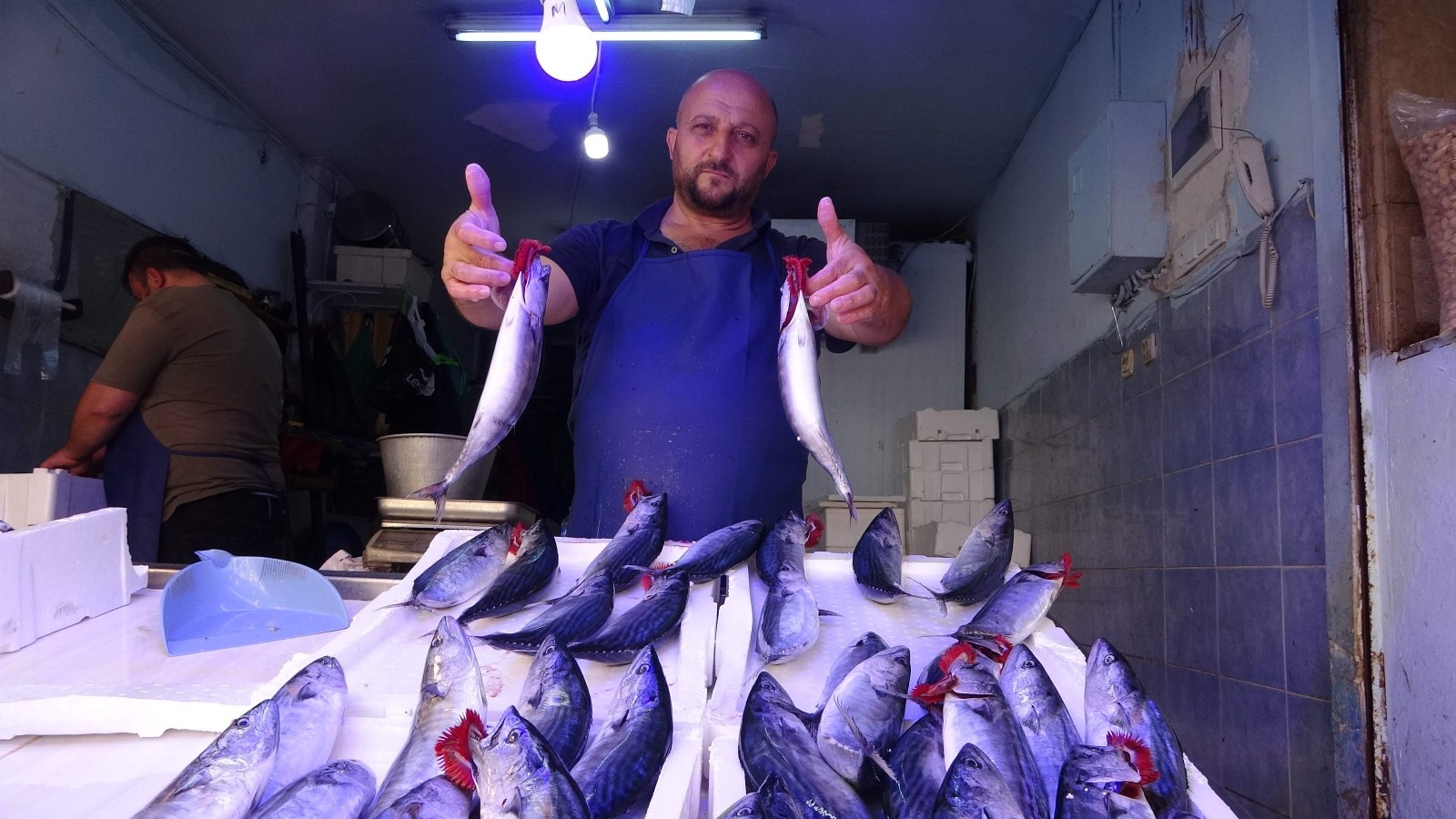 Palamut tezgâhlarda ilk kez kendini gösterdi