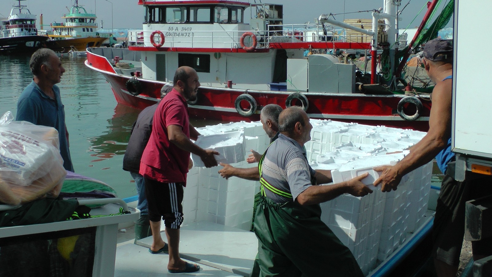 Karadeniz’de palamut ve hamsi bolluğu
