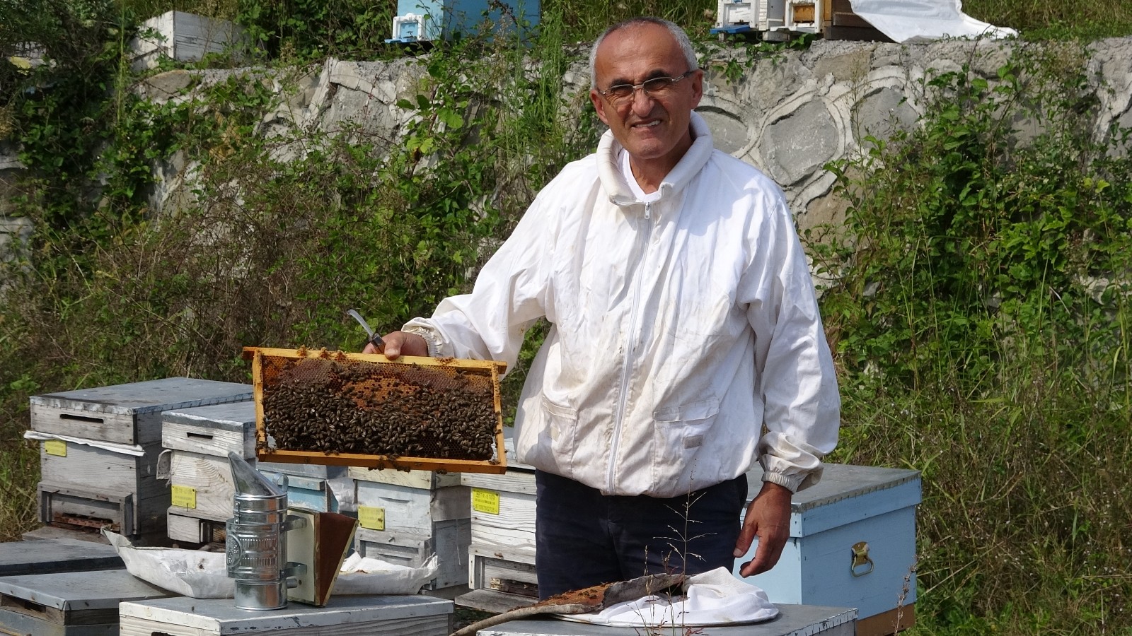 Arı üreticileri 300 ton baldan 60 milyon TL gelir elde etti