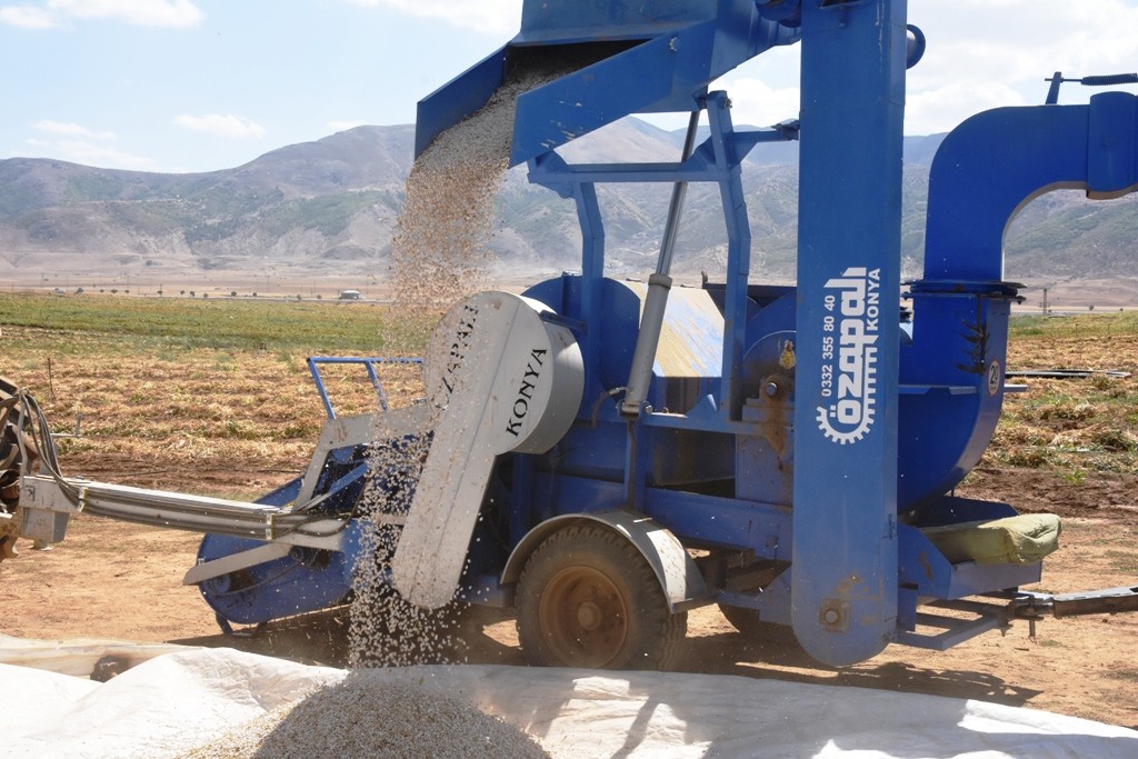 Bitlis’te bu yıl 40 bin ton fasulye hasadı bekleniyor