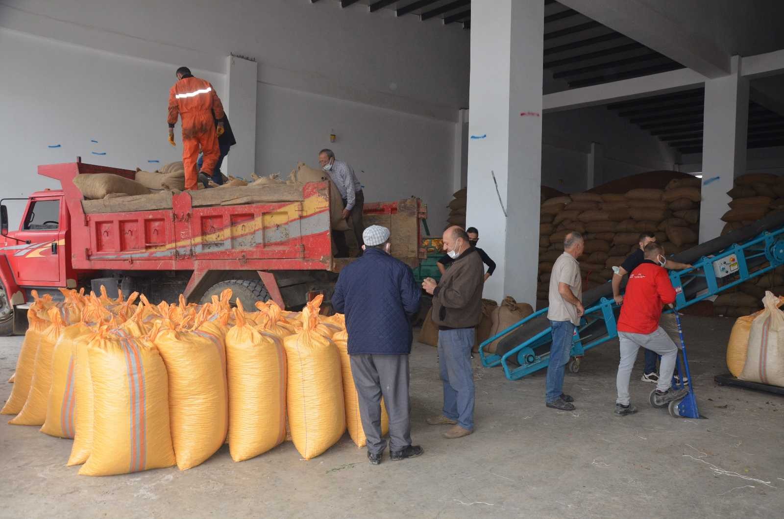Ordu’da TMO’ya talep artıyor