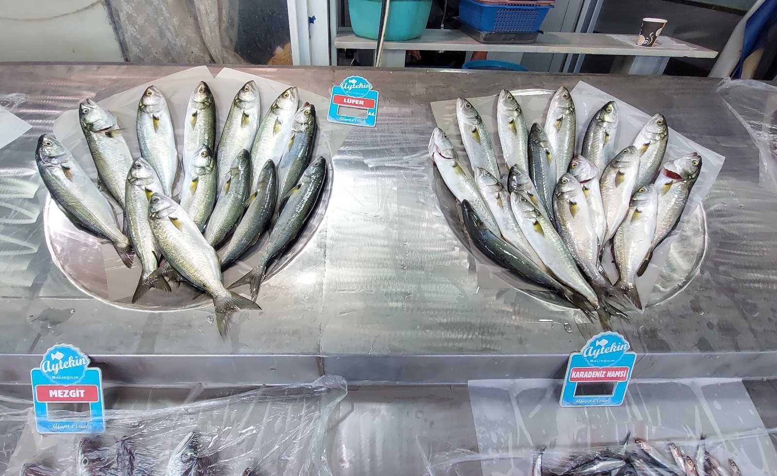 (Özel) Denizin paşası Lüfer tahtını geri aldı: 70’ten 50 liraya indi