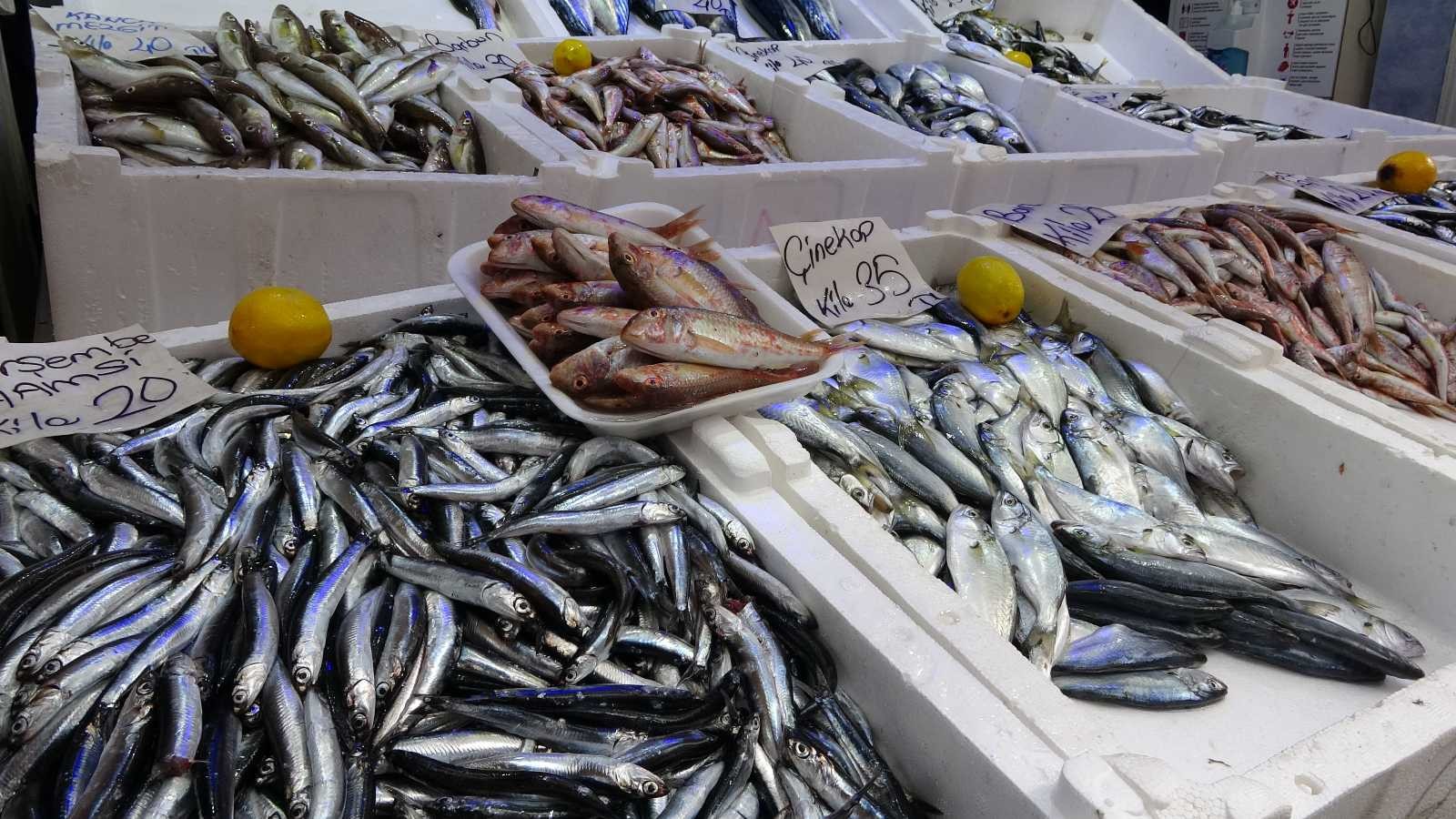 Balıkçı tezgahlarında durgunluk
