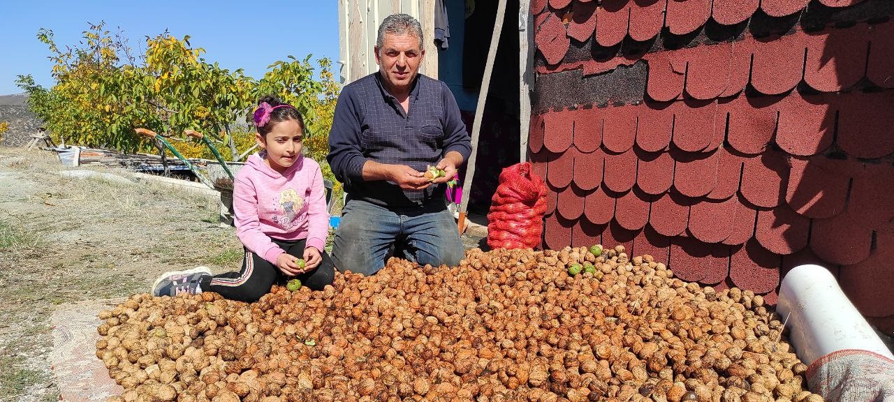 Köyüne dönüş yaptı, kurduğu ceviz çiftliğiyle siparişlere yetişemiyor