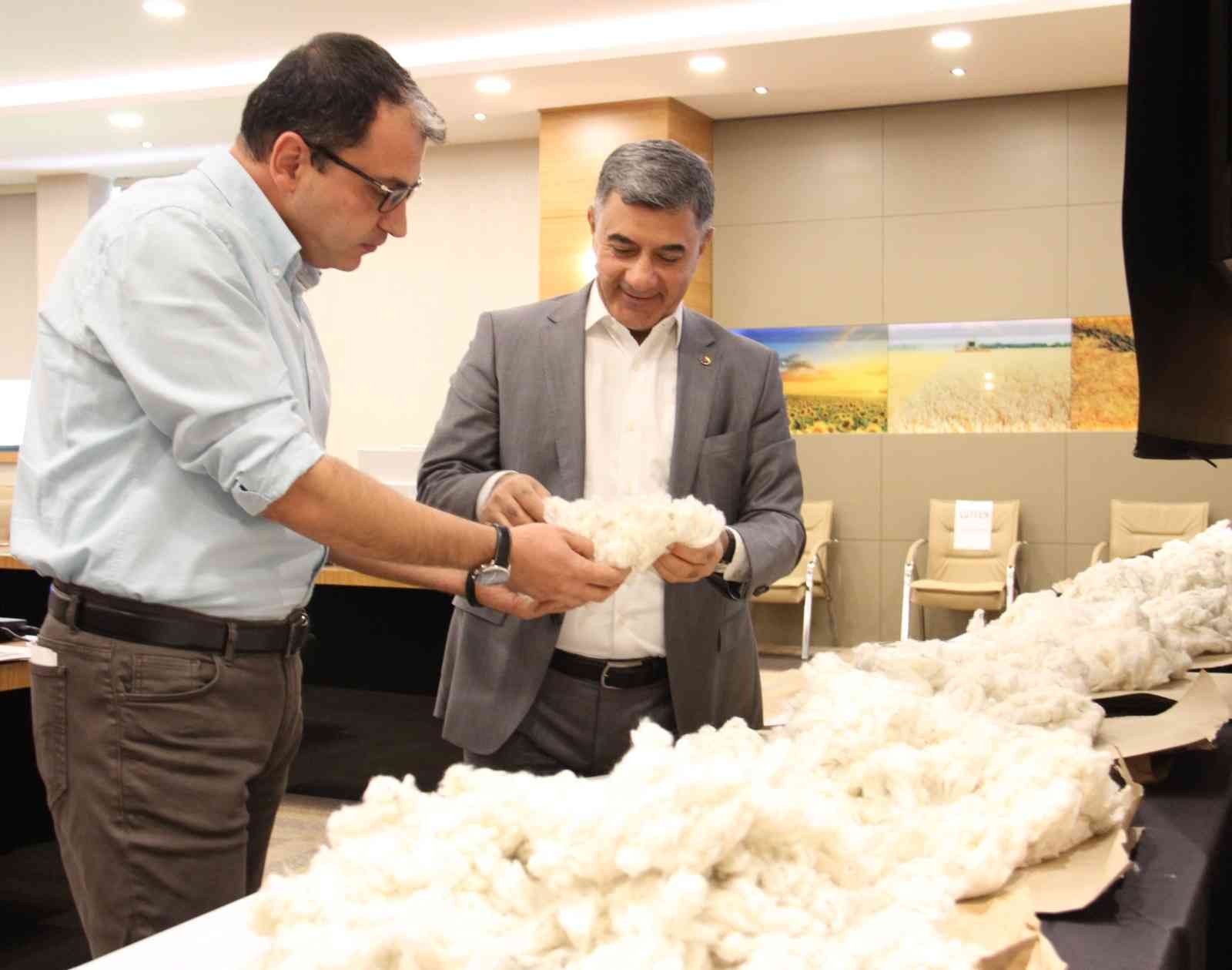 Diyarbakır Ticaret Borsası’nda online pamuk alım satımı