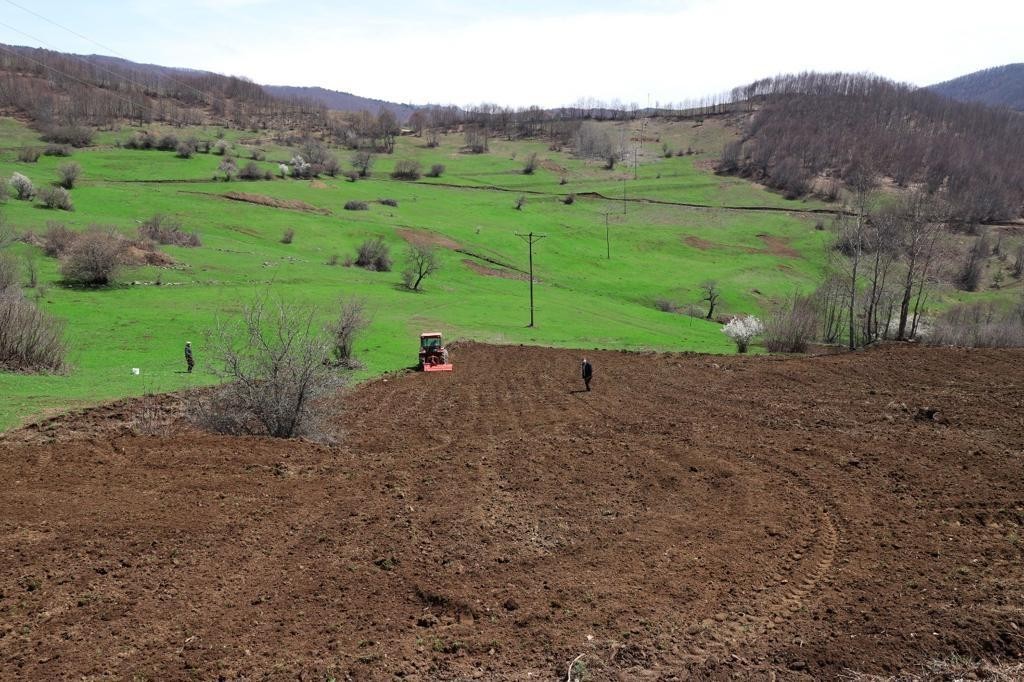 Ordu’da üreticilere 54,5 ton tohum dağıtıldı