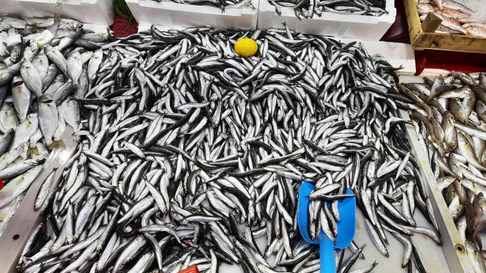 Balık hali esnafı, "Türkiye’nin en iyi balığı Kdz. Ereğli’den çıkar"