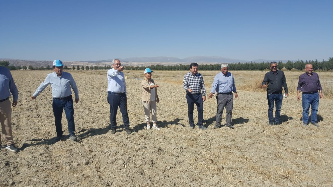 Antalya’da Karakılçık buğdayı üretilmeye başlandı