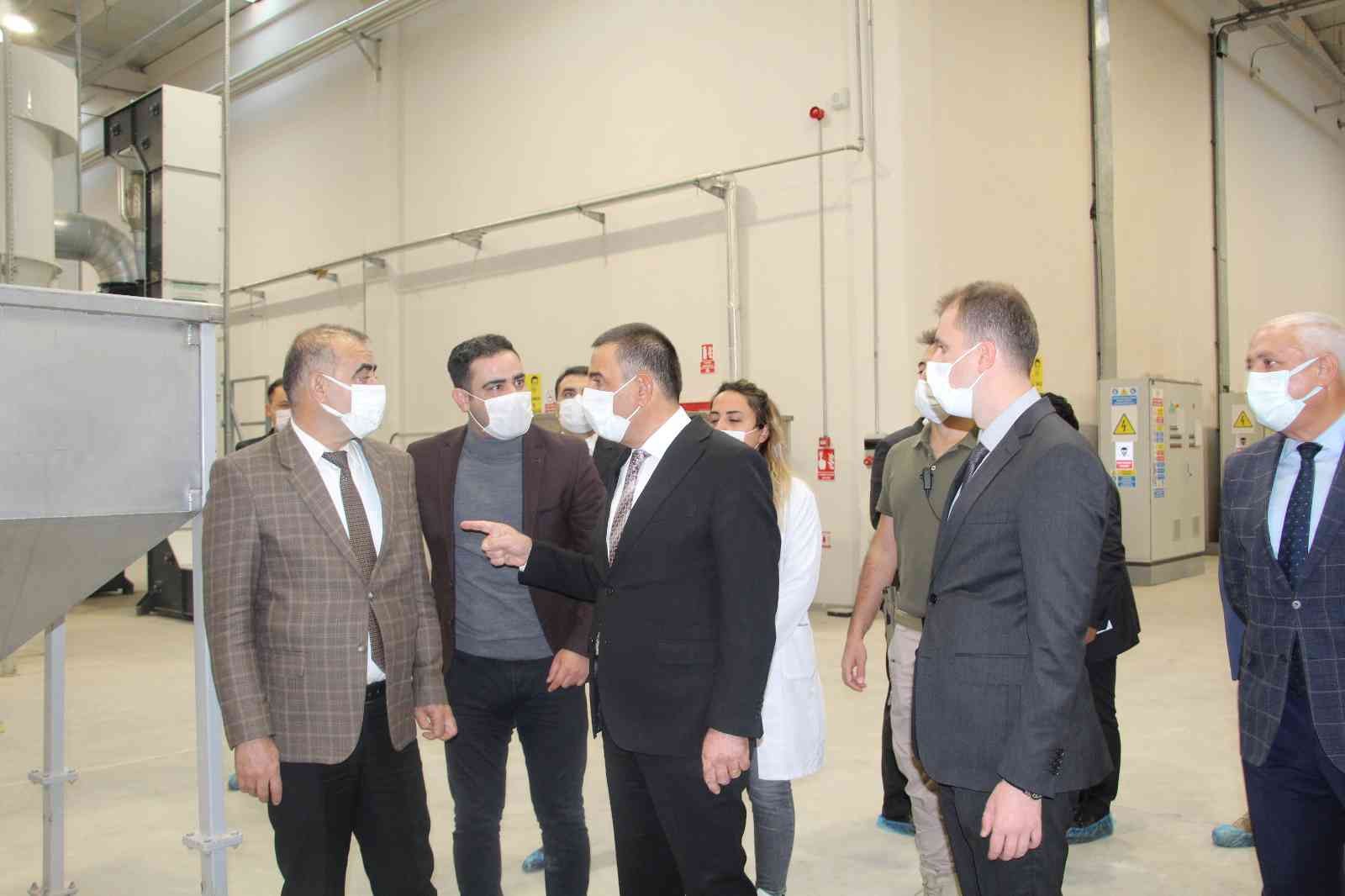 Siirt fıstığı dünya pazarında yerini aldı