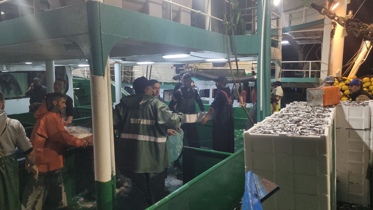 Karadeniz’de balık bolluğu yaşanıyor