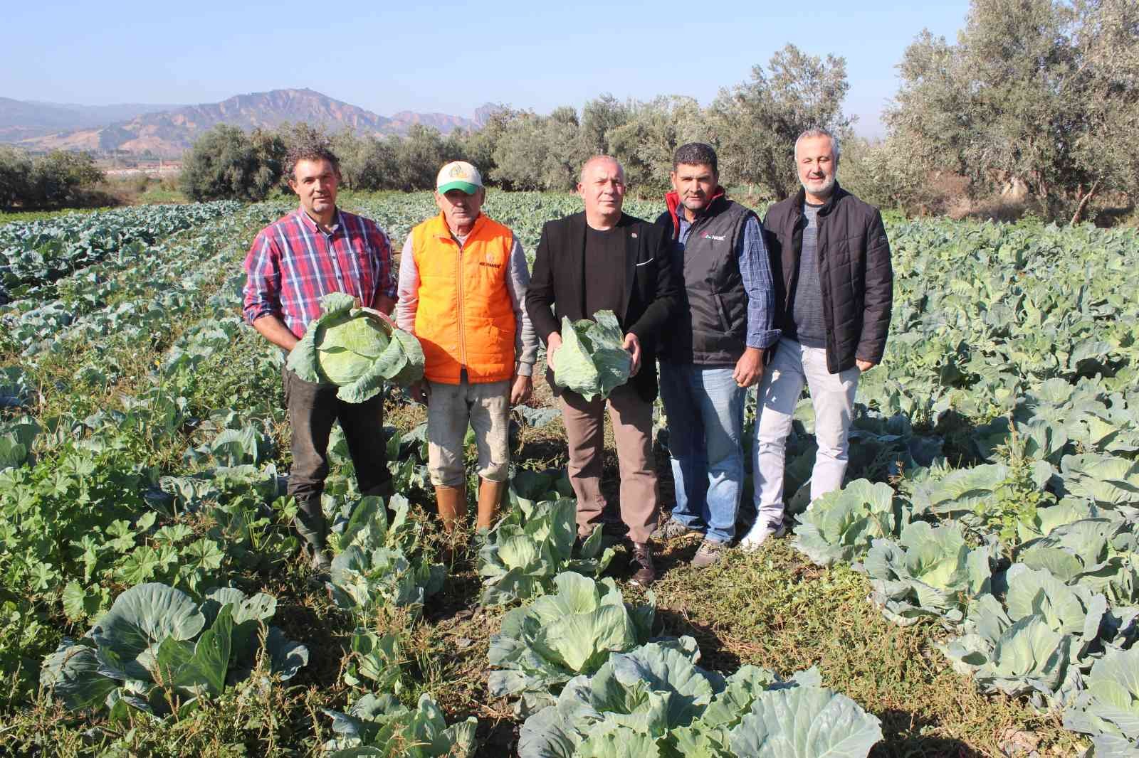 Türkiye’nin kışlık sebzesi Salihli Ovası’ndan