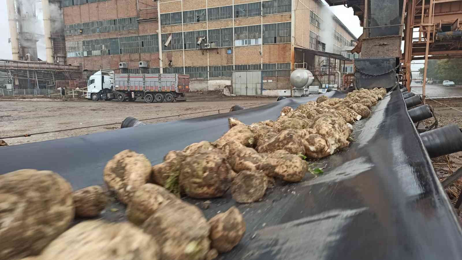 Malatya Şeker Fabrikası’nda hedef 60 bin ton şeker üretimi