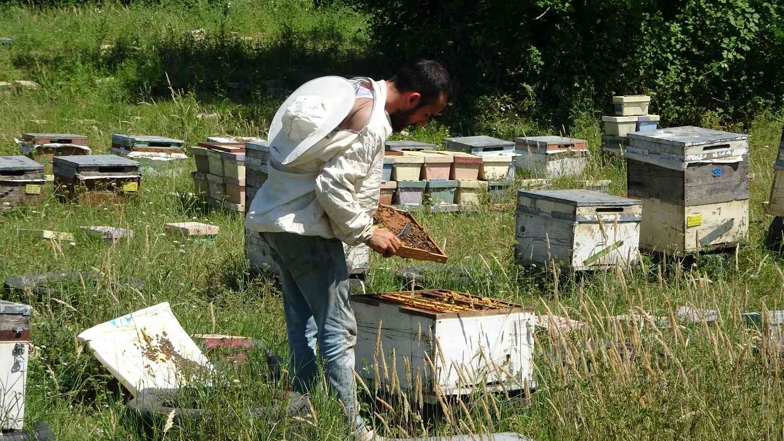 Arıcılığın başkentinde genç arıcı yetişmiyor