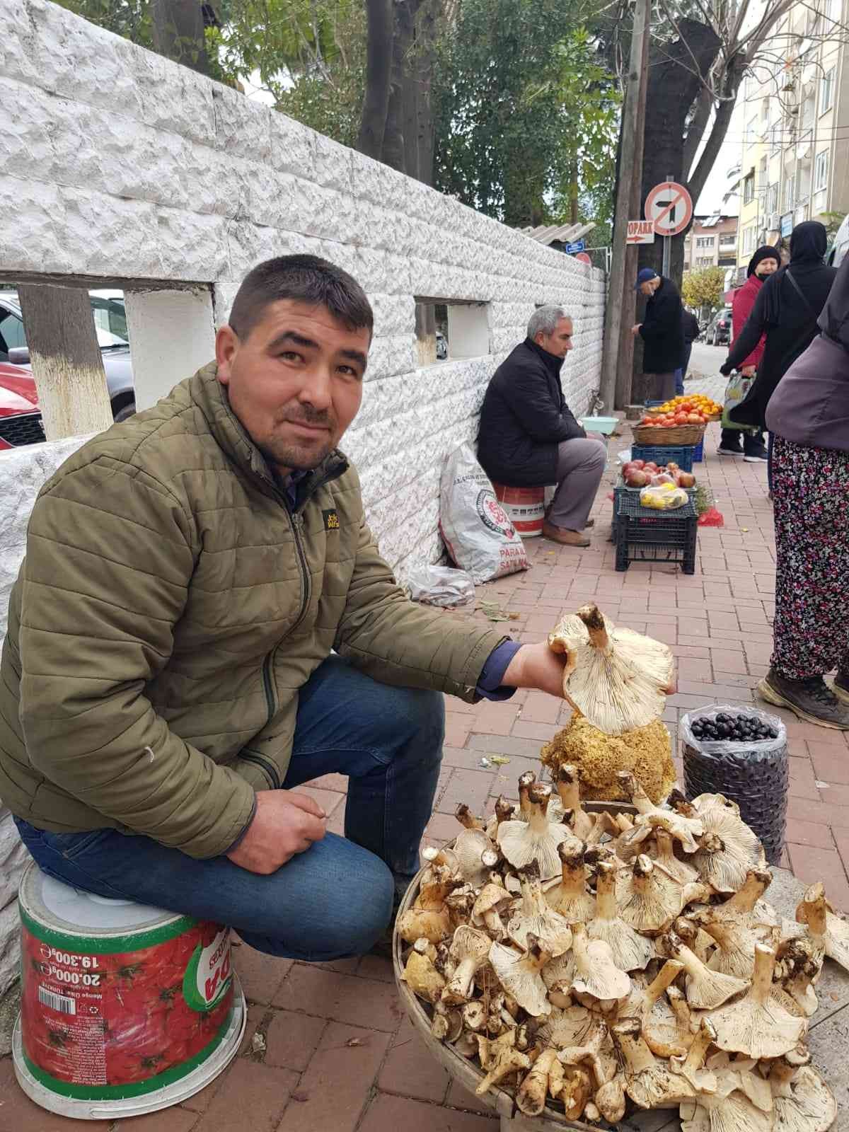 Mantar 50 liradan pazara indi