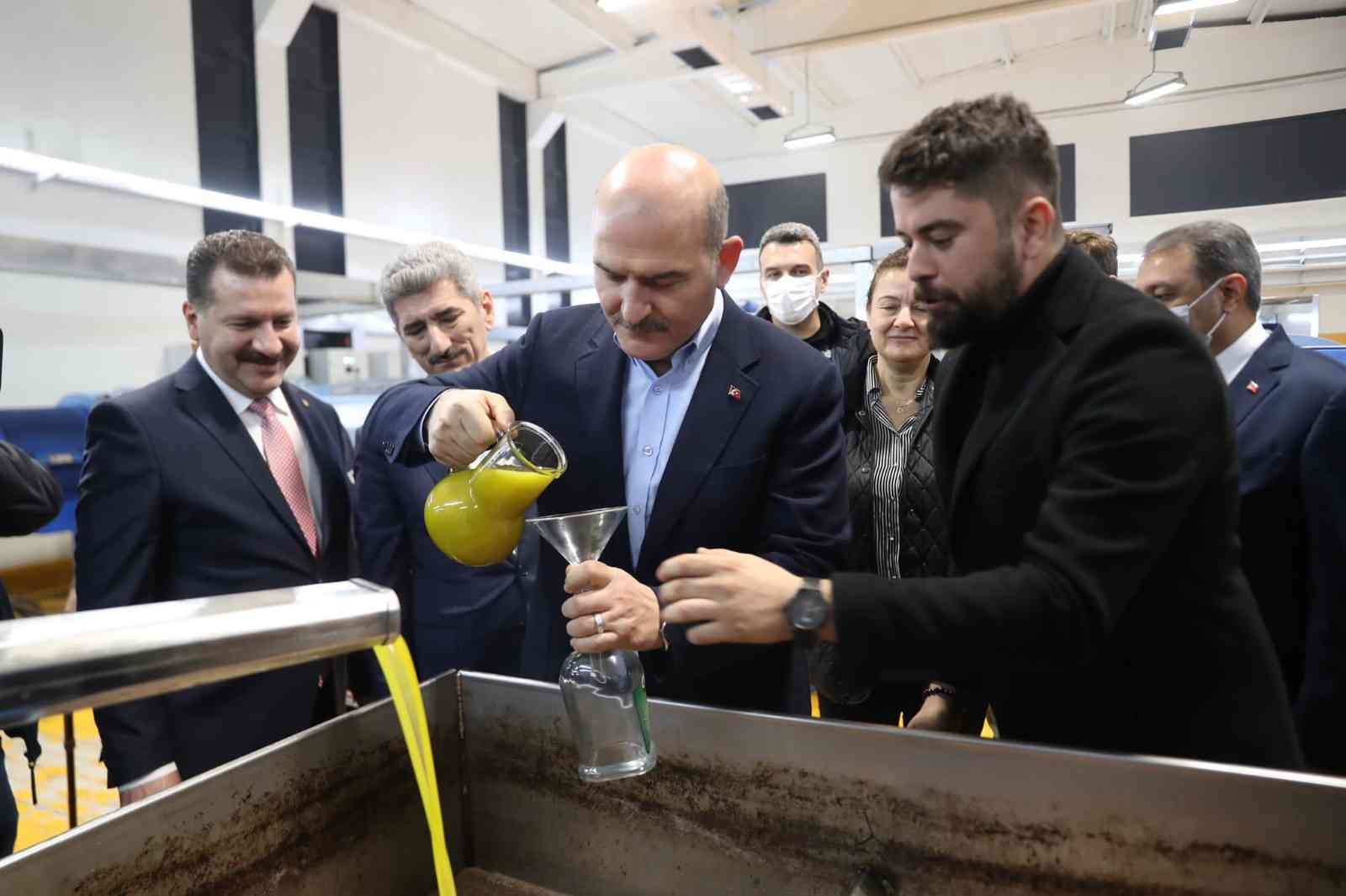 Bakan Soylu zeytinin zeytinyağına ait serüveni izledi