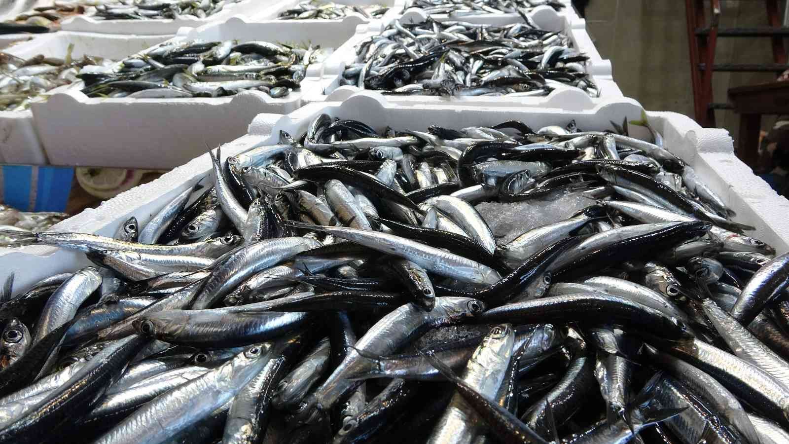 Hamsinin fiyatı bu sezon ilk kez bu kadar yükseldi