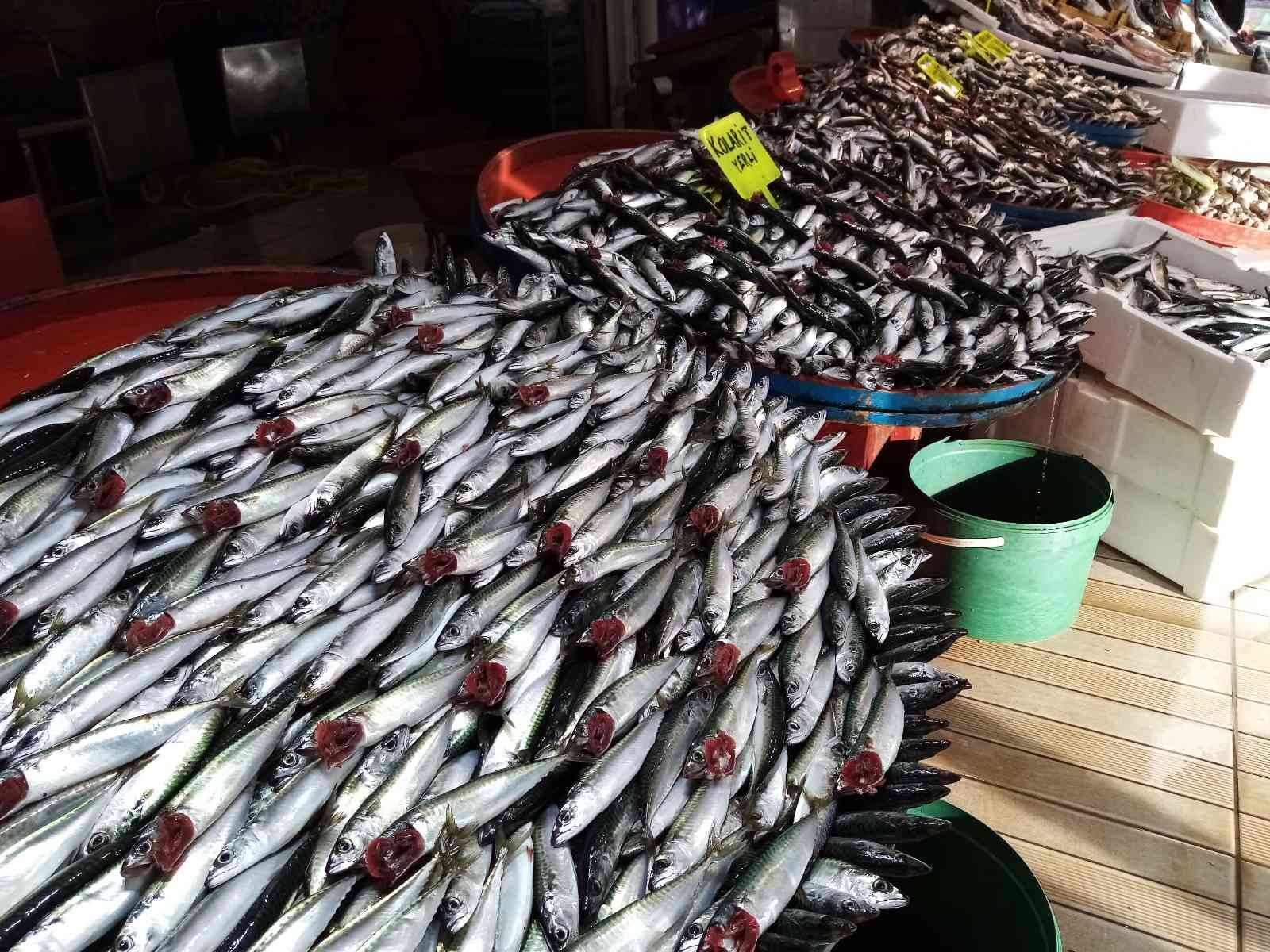 Lodos durdu tezgahlar balık doldu