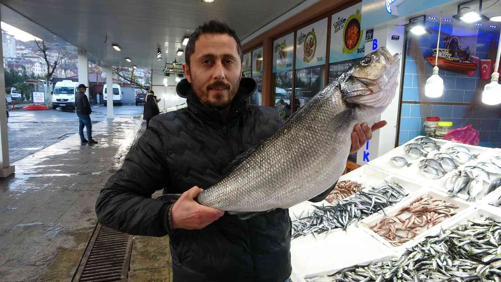Karadeniz’de yakalanan 8 kiloluk levrek 2 bin liradan tezgahta