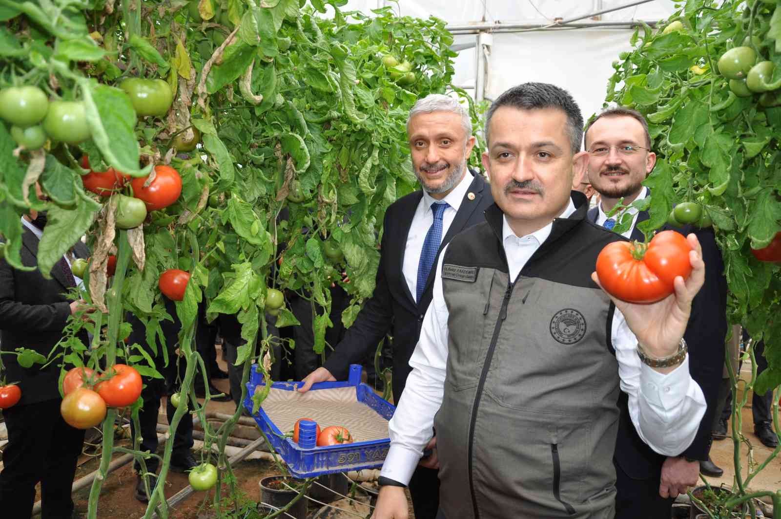 Bakan Pakdemirli: "Seracılık hızlı bir şekilde büyüyor"