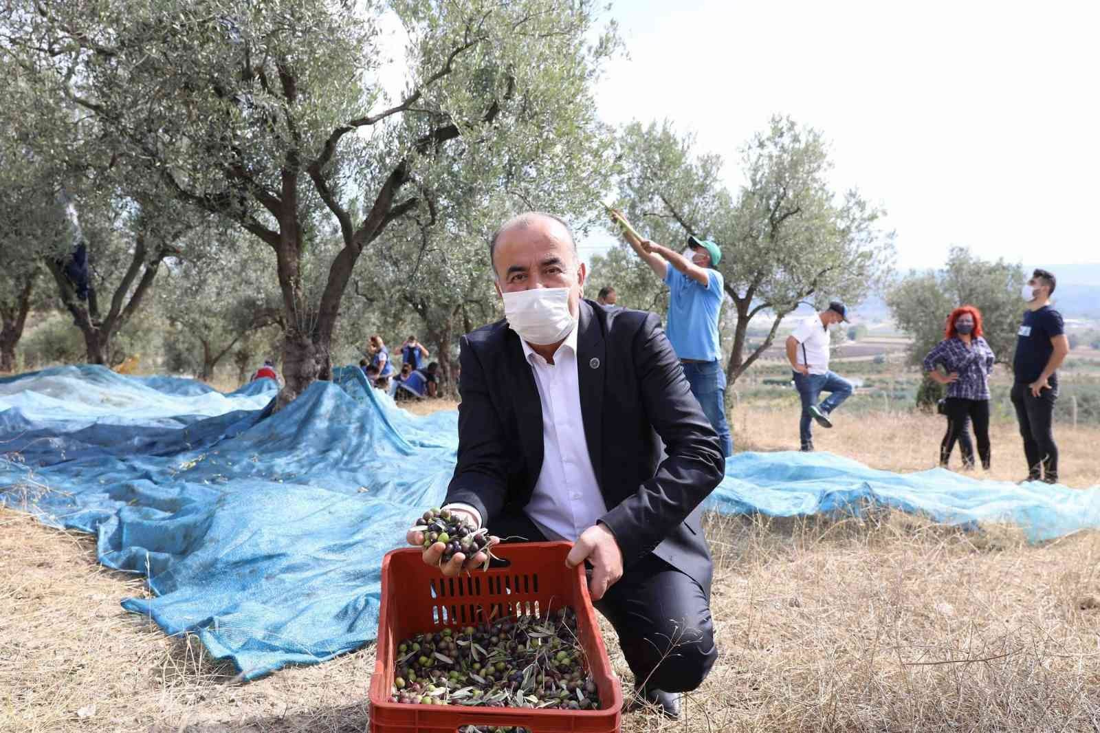 Mudanya’nın geleneksel zeytin yetiştiriciliği Unesco’ya aday