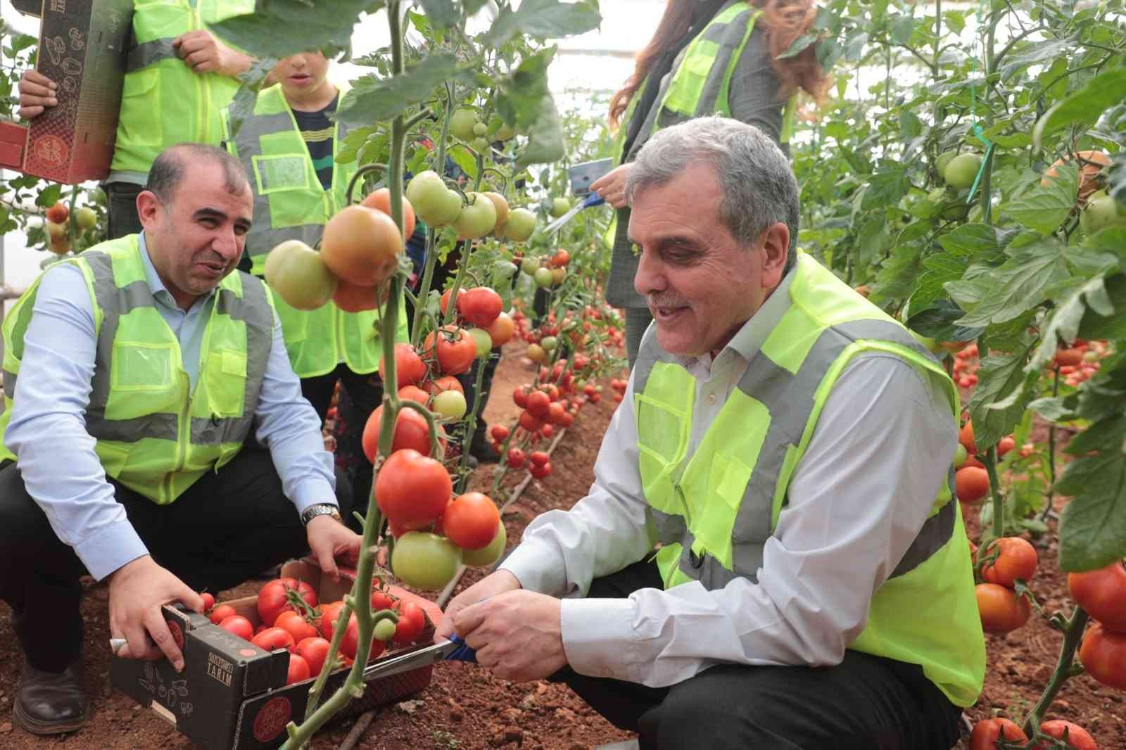 Şanlıurfa’da belediye serası ihtiyaç sahiplerinin yüzünü güldürecek