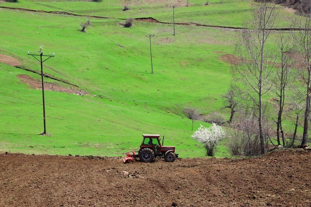 Ordu’da atıl araziler üretime kazandırılıyor