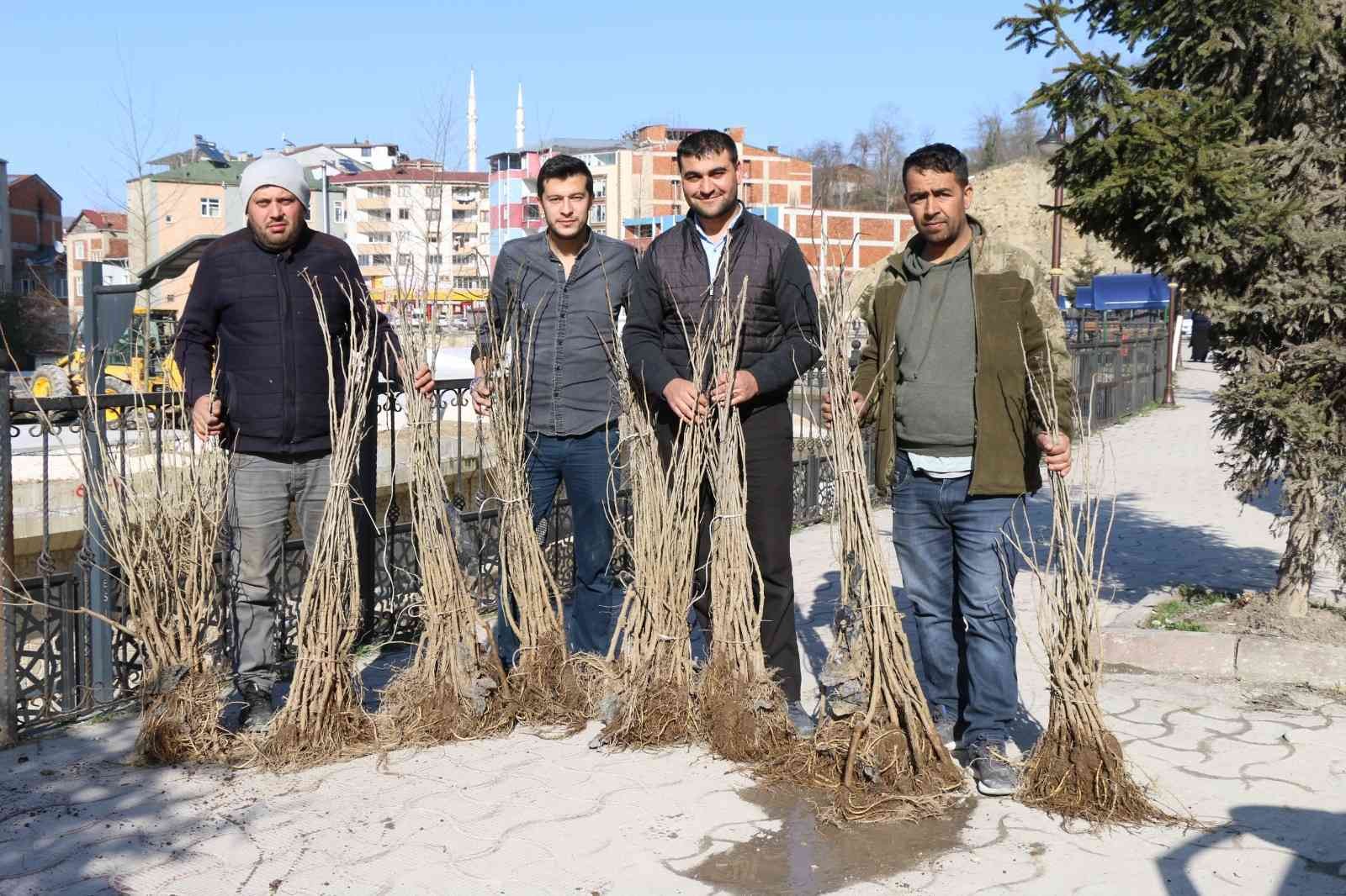 Ordu’da ipek böcekçiliği yaygınlaşıyor