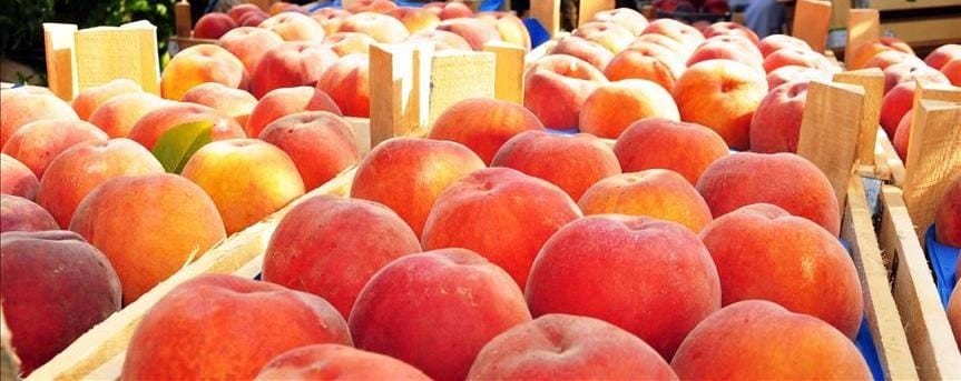 Lapseki’nin meşhur şeftalisi coğrafi tescil işareti aldı