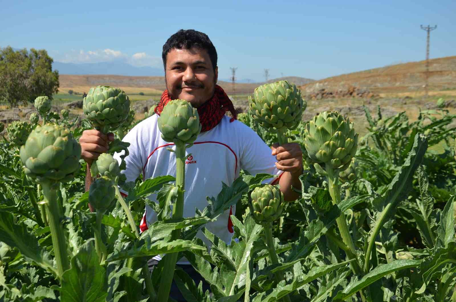 Öğretim üyesi memleketi Hatay’da ilk defa yetiştirdi